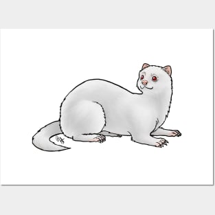 Ferret - Albino Posters and Art